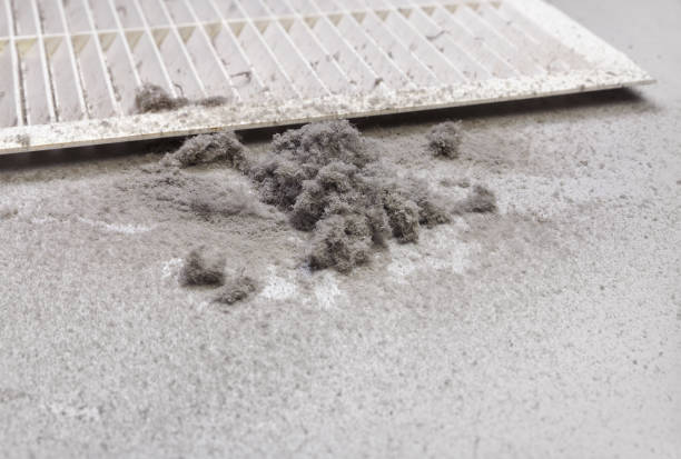 Best Dryer Vent Cleaning Services  in Crockett, TX
