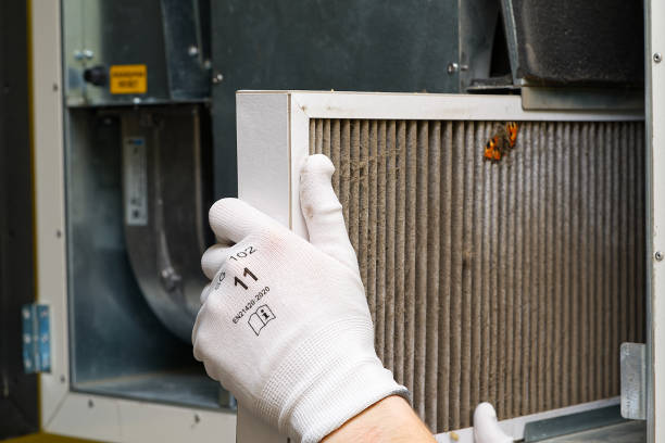 Best Professional Duct Cleaning Services  in Crockett, TX