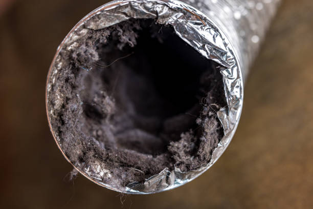 Best Commercial Air Duct Cleaning  in Crockett, TX